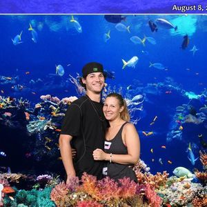 Meet your Posher, Brianne